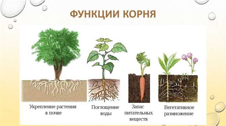 Что