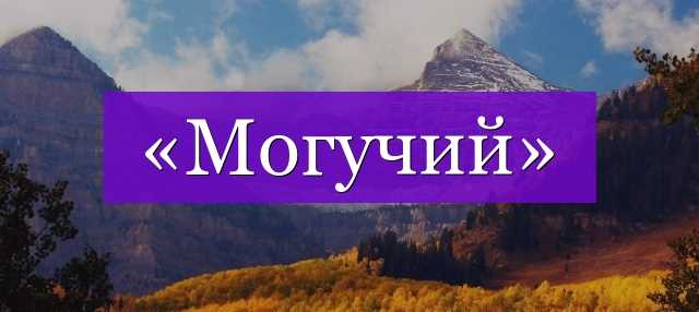Особенности