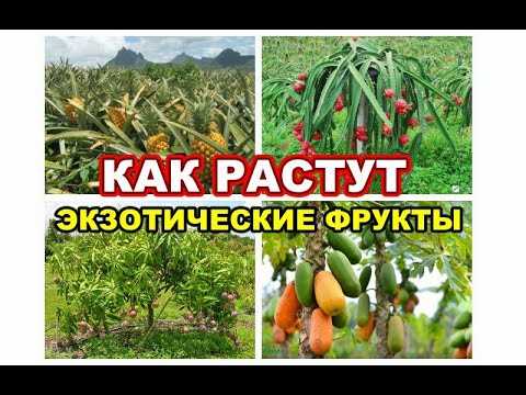 Откройте