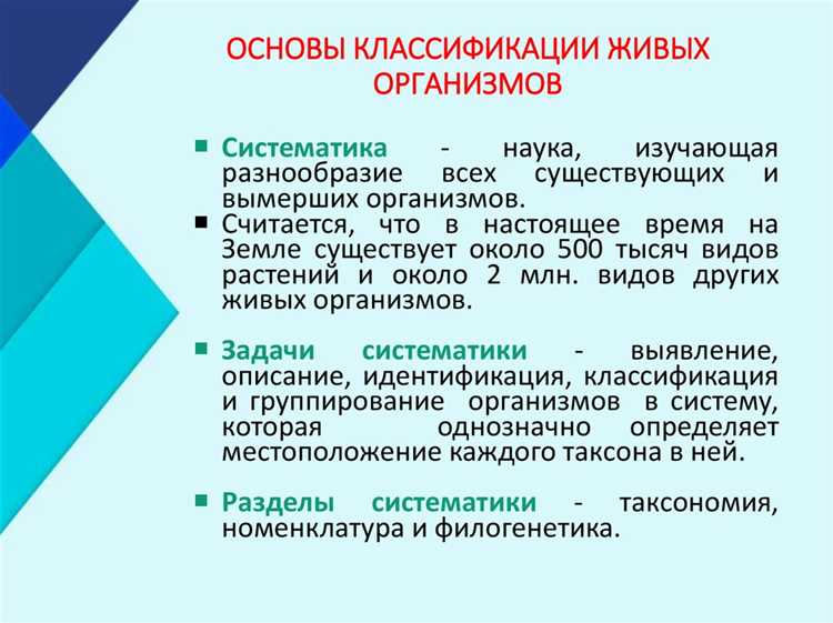 Основная