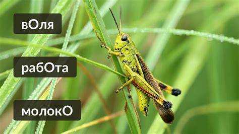 Методы