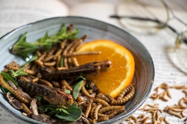 Mealworm перевод: что означает и как использовать этот термин