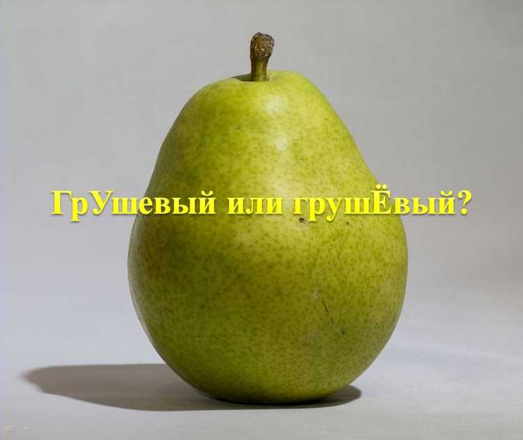 Онлайн-ресурсы для проверки правильного акцента