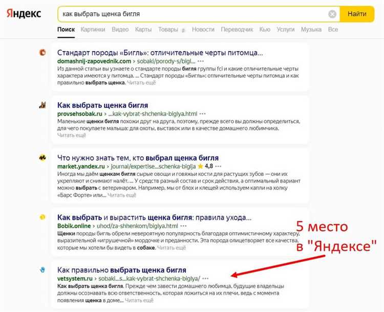 Разнообразие