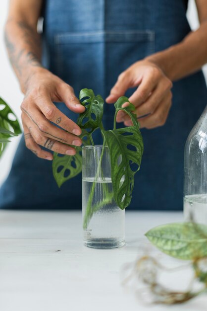 Ошибки при употреблении слова «укоренение» и как их избегать