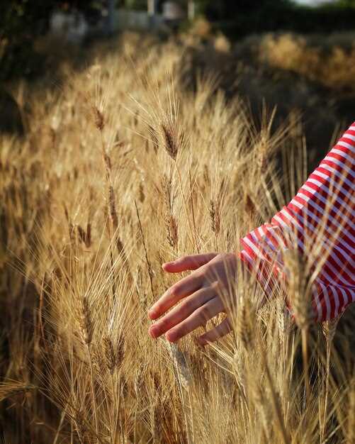 Какие вопросы задавать о grains при синтаксическом разборе