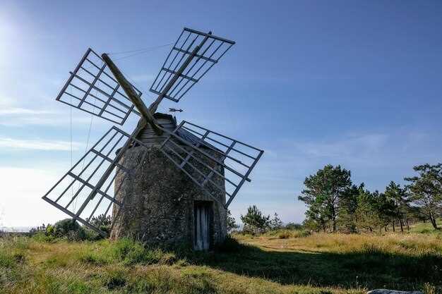 Происхождение из литературных источников – история борьбы с иллюзиями