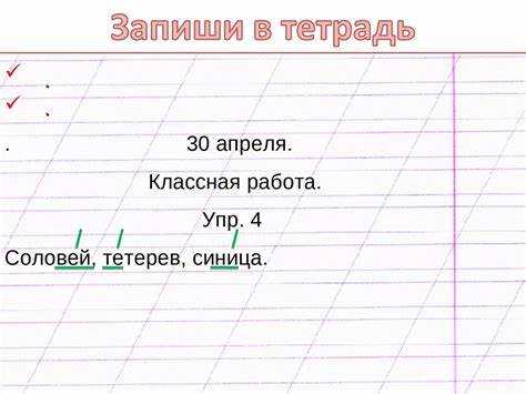 Применение акцента в терминологии