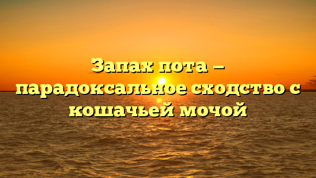 Запах пота — парадоксальное сходство с кошачьей мочой