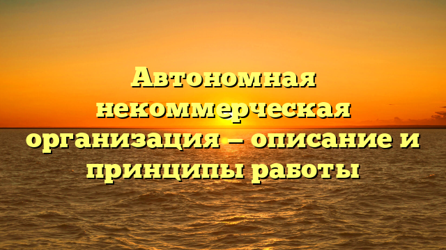 Автономная некоммерческая организация — описание и принципы работы